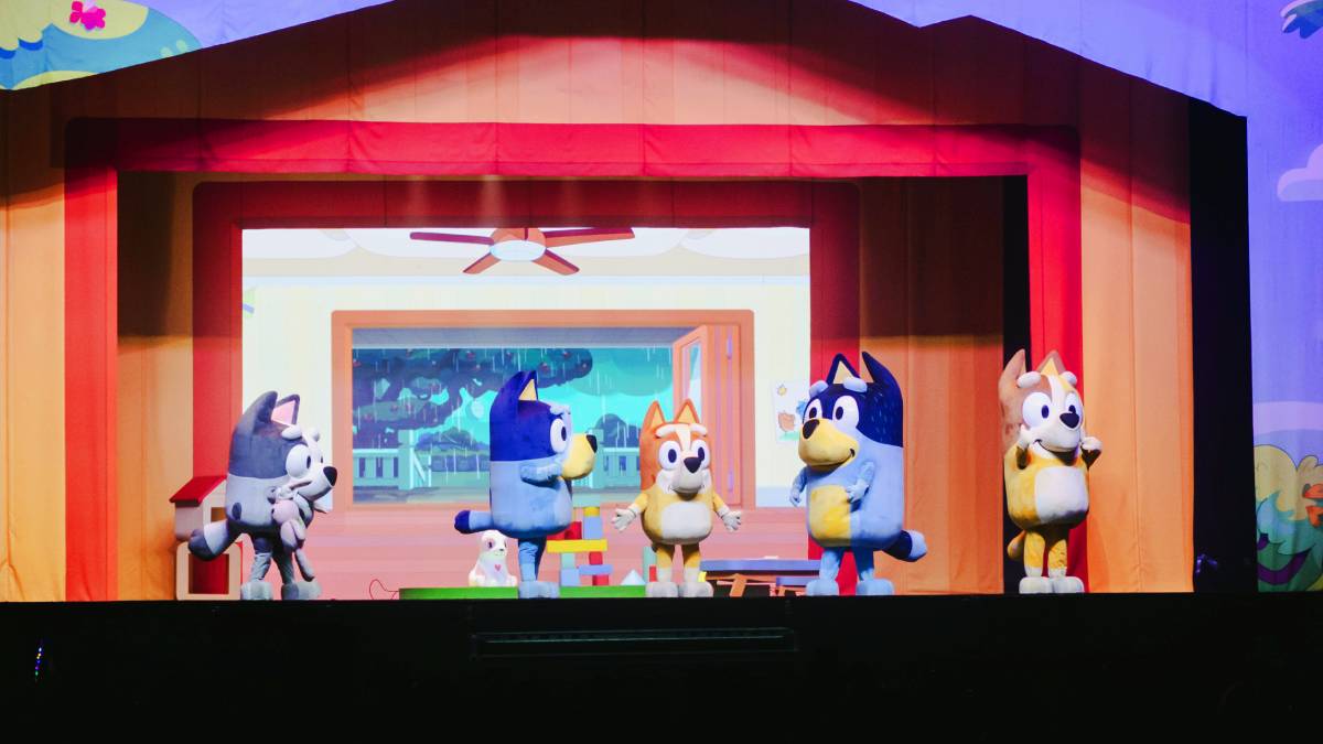 Na história, Bluey e seus familiares transformam cada cômodo da casa em um palco de brincadeiras e descobertas.