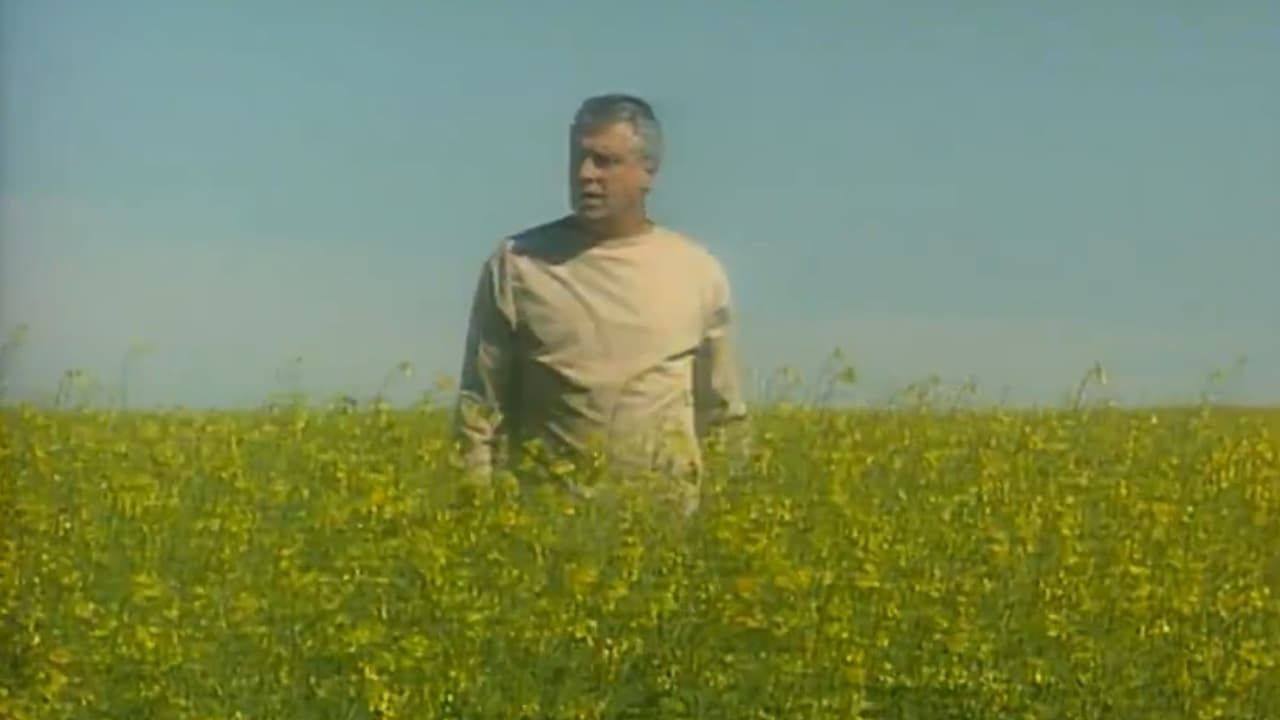 Otávio acordará em um lindo campo florido, um local de paz muito diferente do qual Alexandre se encontra. Fotos: Reprodução/TV Globo