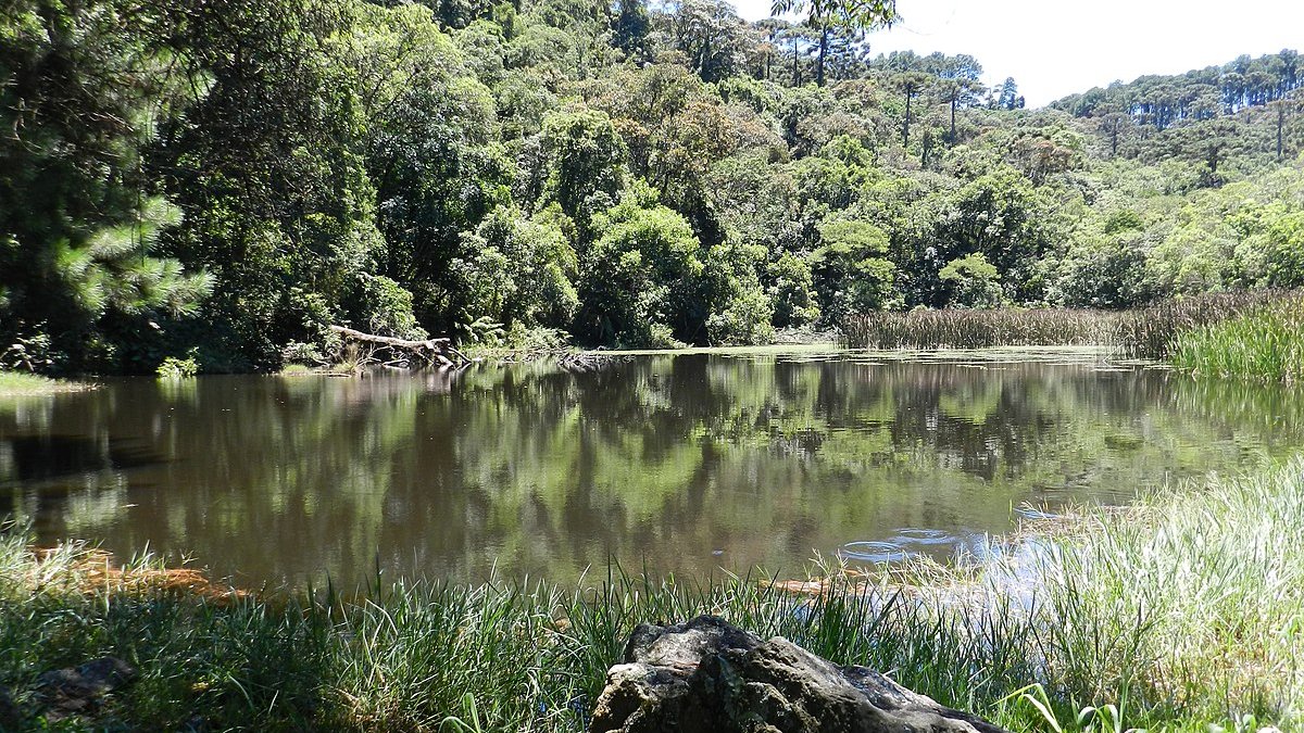 Já o Núcleo Águas Claras, localizado no município de Mairiporã, é um setor mais voltado para a educação ambiental (com foco na preservação dos rios) - (Euripedesjr/Wikimedia Commons)