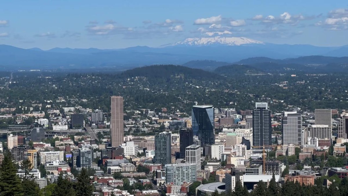 Em Portland, Oregon, Estados Unidos, os BIDs se materializam nos chamados distritos de serviços aprimorados (ESDs)