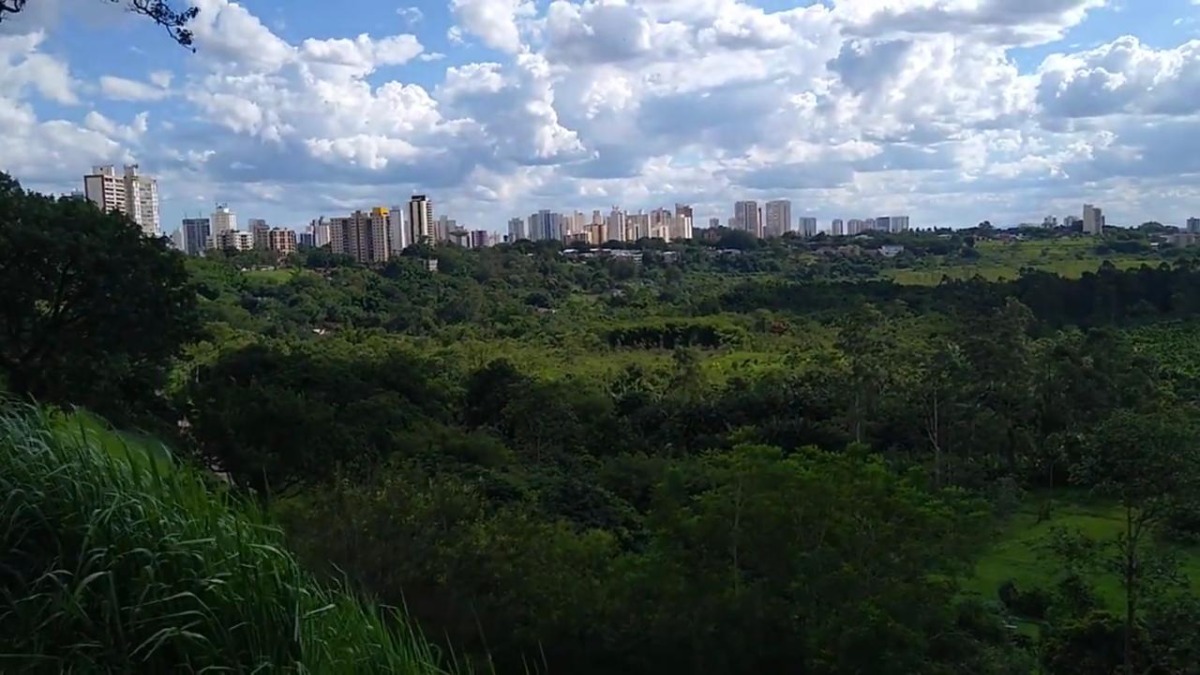 E é justamente no Banhado que a natureza se encarrega de oferecer seu maior espetáculo (Fotos: Youtube/Reprodução)