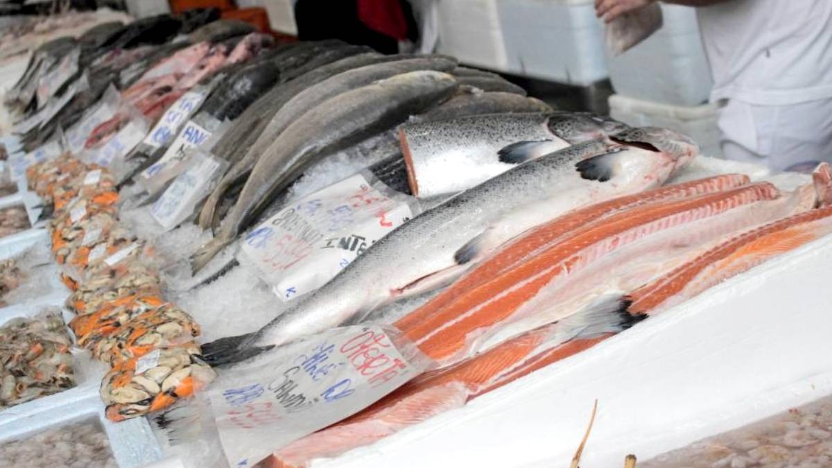 Oferecido por preço promocional, o peixe se torna atração principal do evento | Nathalia Felipe/PMS