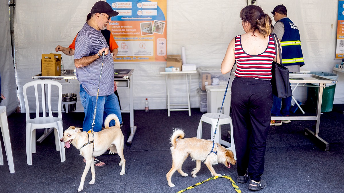 4ª edição da Semana Animal SP acontece de 28 de setembro a 4 de outubro de 2025 - Edson Lopes Jr/Secom