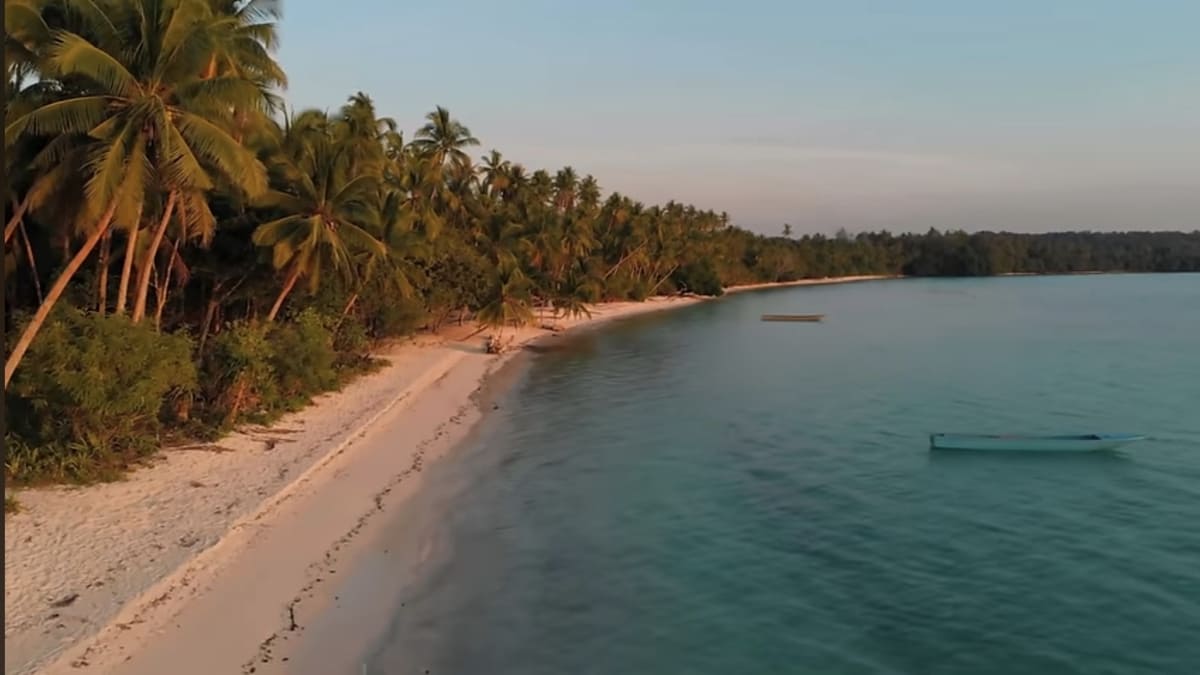 Madagascar possui cerca de 30 milhões de habitantes - reprodução/YouTube