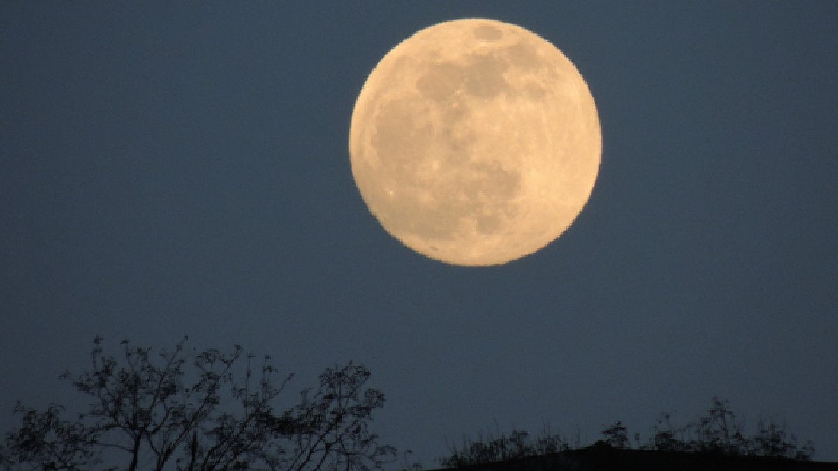 Apesar da aparência, o 2025 PN7 orbita o Sol e não a Terra em uma rara "dança gravitacional" (Foto: PxHere)