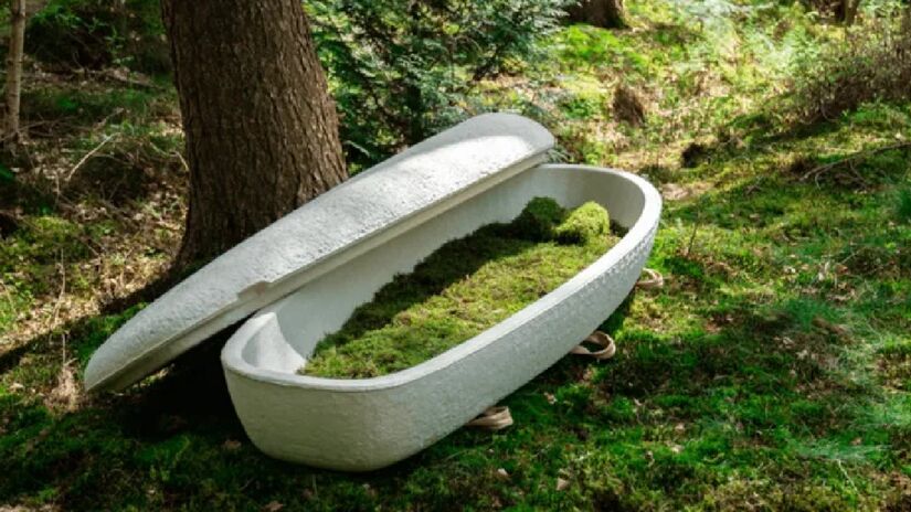 Uma startup holandesa chamada Loop Biotech teve uma criação inovadora e ecológica: um caixão feito de cogumelo que pode se degradar apenas dois meses após o sepultamento - (Divulgação/Loop Biotech)