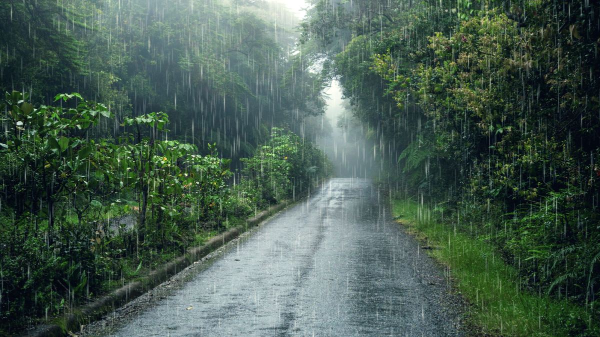 A origem do bolinho de chuva remete às receitas caseiras de avós e mães que transformavam ingredientes básicos em momentos de carinho (Foto: Pexels)