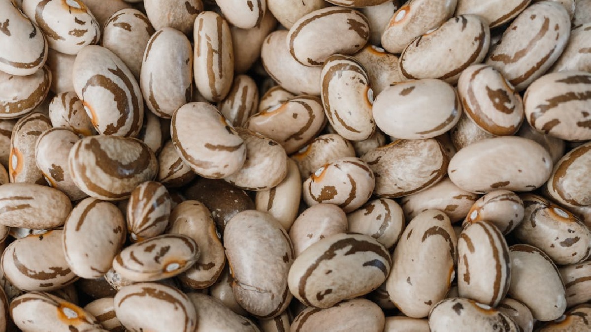 Mais rico em alguns antioxidantes, o feijão tem a seu favor a maior variedade de minerais - (Arina Krasnikova/Pexels)