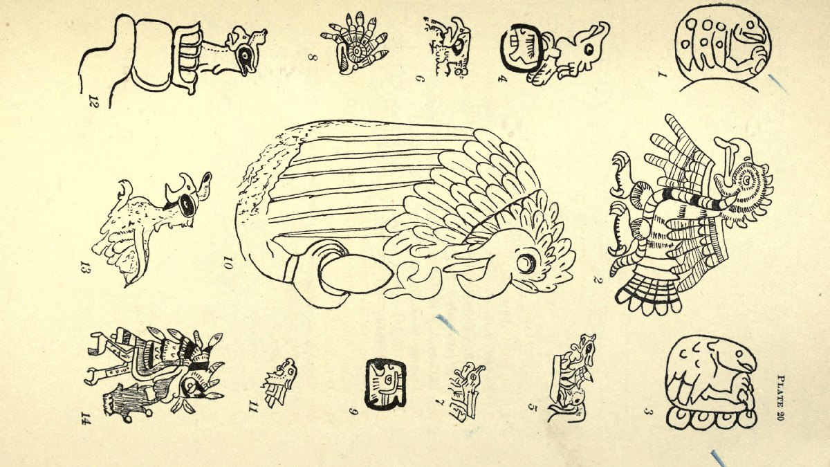A ave já era cultuada pelos maias muito antes da chegada dos espanhóis. Imagem: Domínio Público