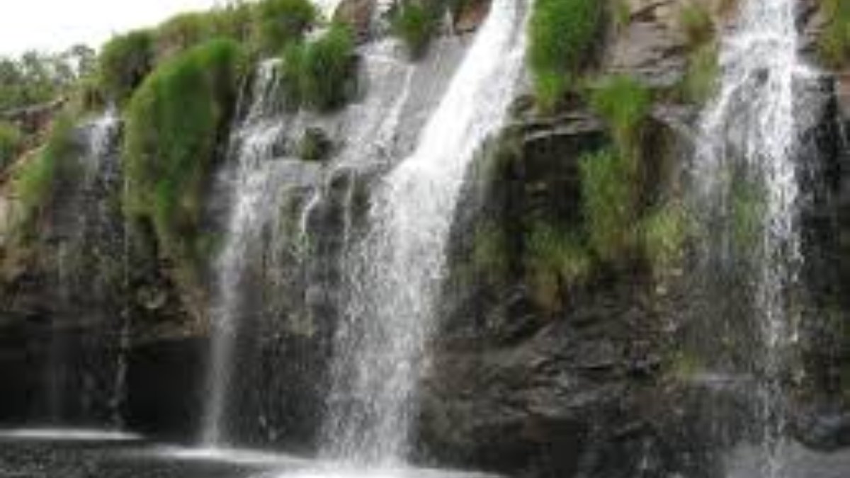 Além das paisagens, você pode visitar o Curral de Pedras, estrutura que tropeiros usavam há mais de um século para conter o gado. Ou então, faça a Trilha do Cerrado, um passeio de 2,3 km que parte do Centro de Visitantes, ideal para quem busca um momento de contemplação e aprendizado sobre a flora local. Fotos: Wikimedia Commons