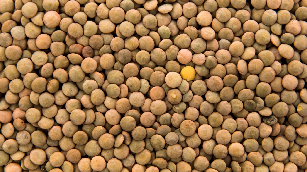A lentilha também leva vantagem em possuir mais proteínas, fósforo e vitamina B9, além de possuir um índice glicêmico mais baixo do que o feijão - (Luis Molinero/Freepik)
