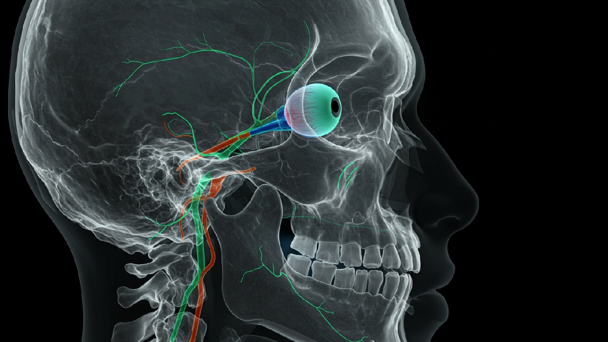 Entenda como aparecem os sintomas típicos da intoxicação. Imagem gerada por inteligência artificial