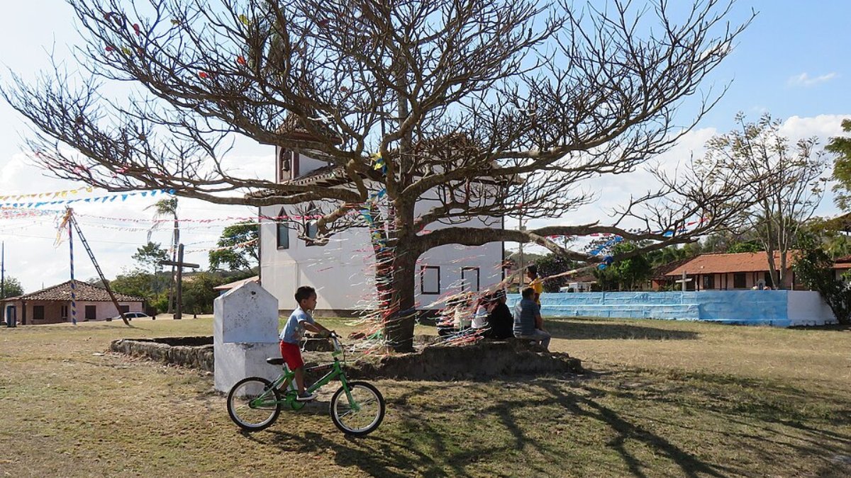 2. Milho Verde (Foto: Under the same moon/Wikemedia Commons)