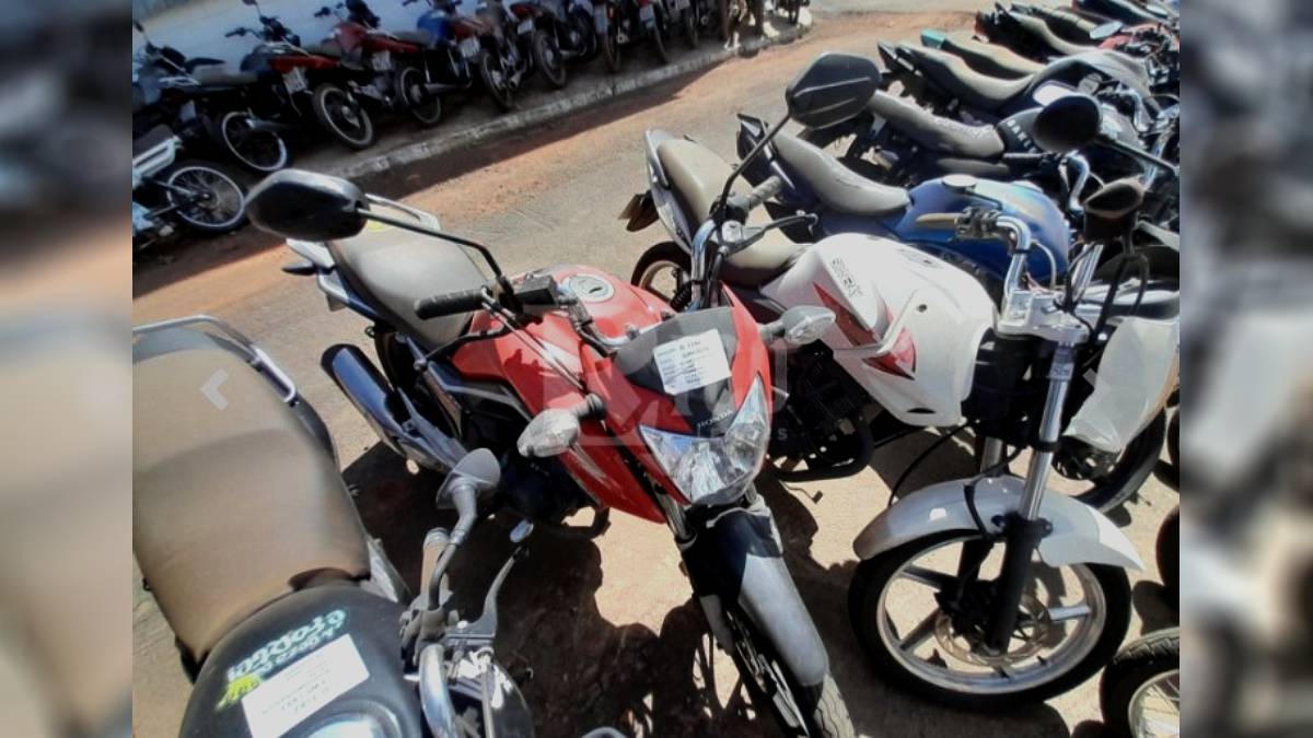 Lotes que estão prontos para circular podem ter seu documento regularizado após o arremate | Reprodução/Rico Leilões