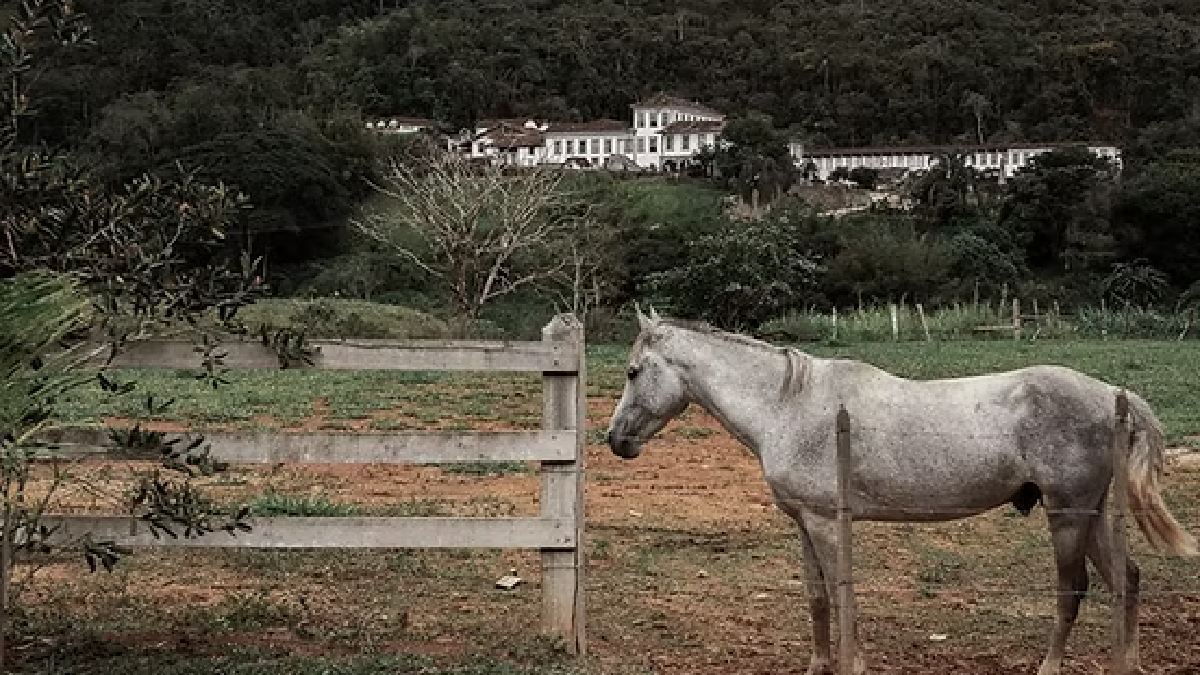 Local, erguido no século 18 no interior de Minas Gerais, é colocado como um pedaço de alma do Brasil. Foto: Divulgação/Fazenda Santa Clara