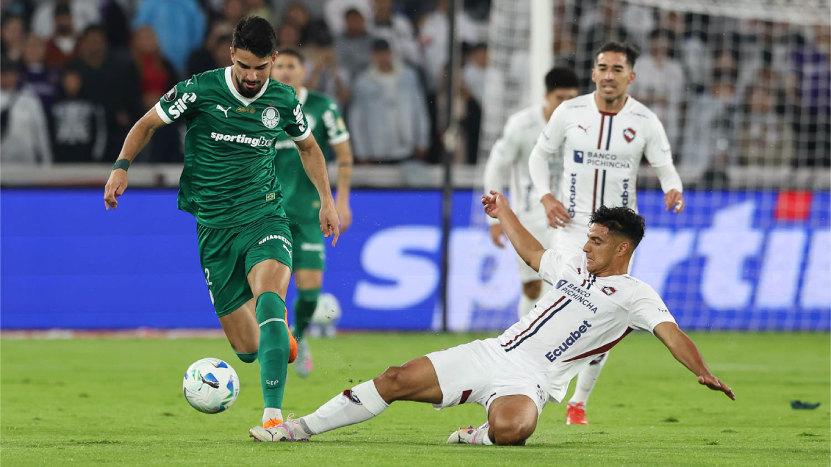 Palmeiras e LDU se enfrentam, nesta quinta-feira, na Libertadores. /Foto: César Grecco/Palmeiras