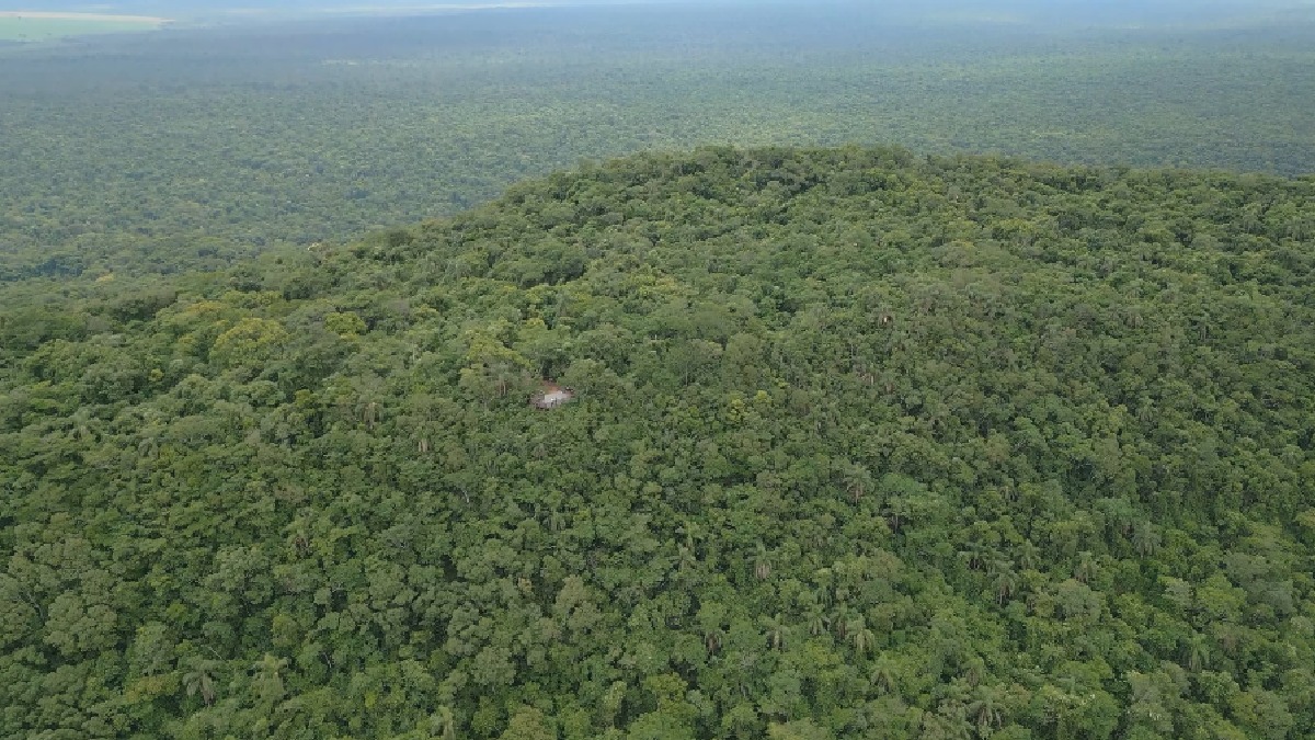 Segundo o Instituto Brasileiro de Geografia e Estatística (IBGE), as áreas totais dos estados somam, aproximadamente, 1.077.737,454 km² - ou 107.773.745,4 hectares - (Reprodução/YouTube)