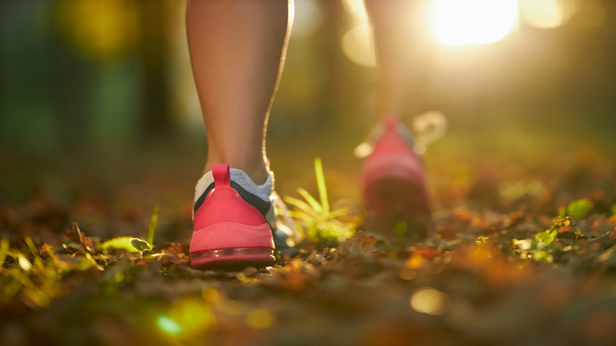 O simples ato de colocar os pés na rua, em um parque ou trilha, pode transformar sua saúde física e mental