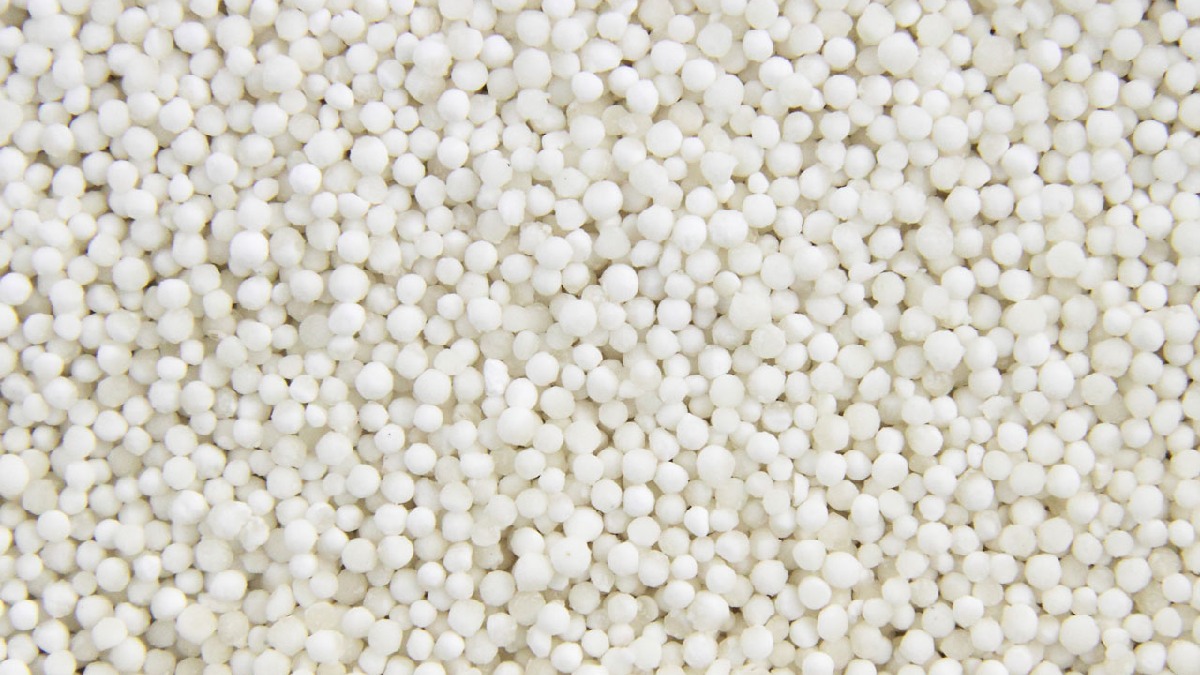 Tapioca não possui glúten. Imagem: Domínio público