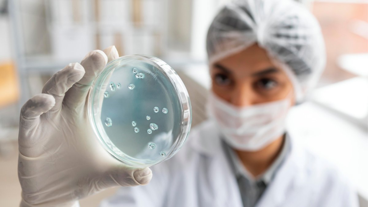 Um estudo publicado na revista científica Applied and Environmental Microbiology trouxe insights sobre o tema