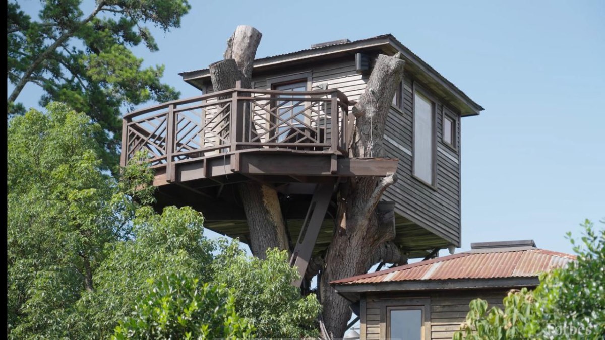 O resultado foi uma mansão na árvore que mais parece saída de um filme de fantasia, mas totalmente equipada com conforto moderno