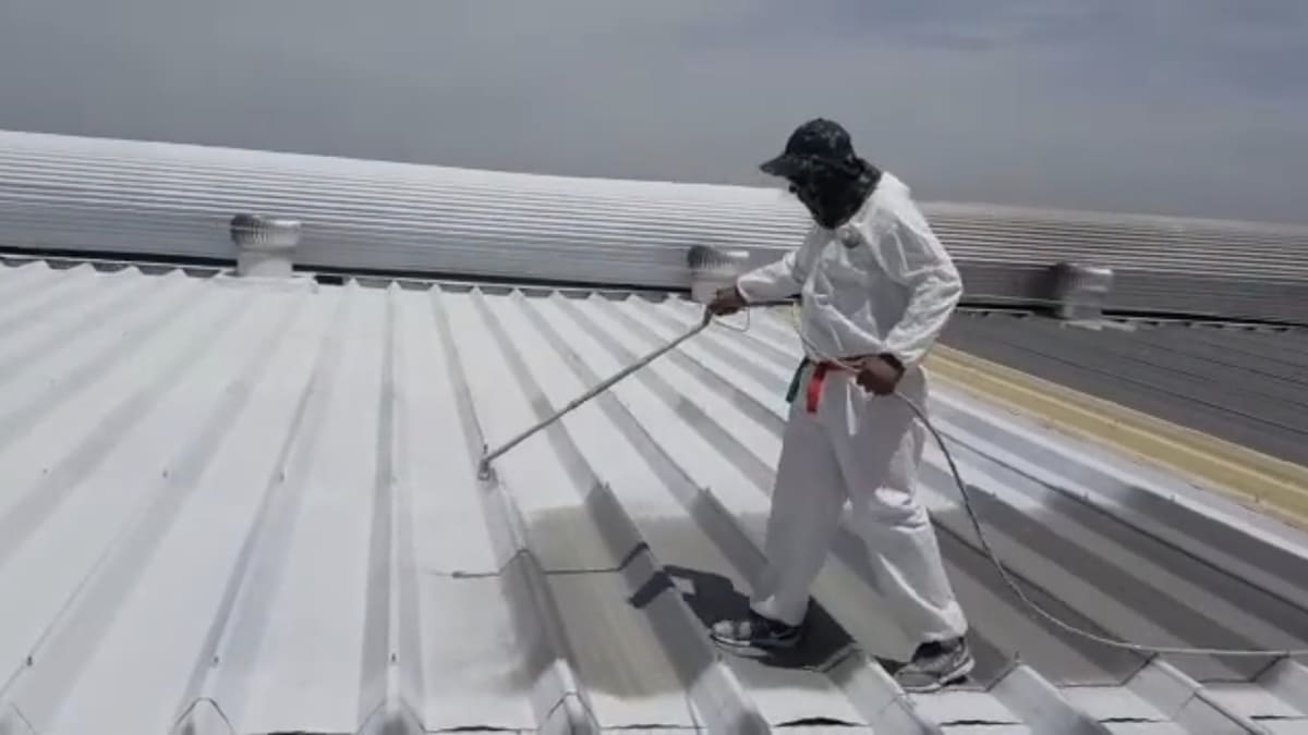Tinta do telhado de zinco não é uma questão estética mas ajuda a diminuir a temperatura ambiente no interior da casa - reprodução/YouTube