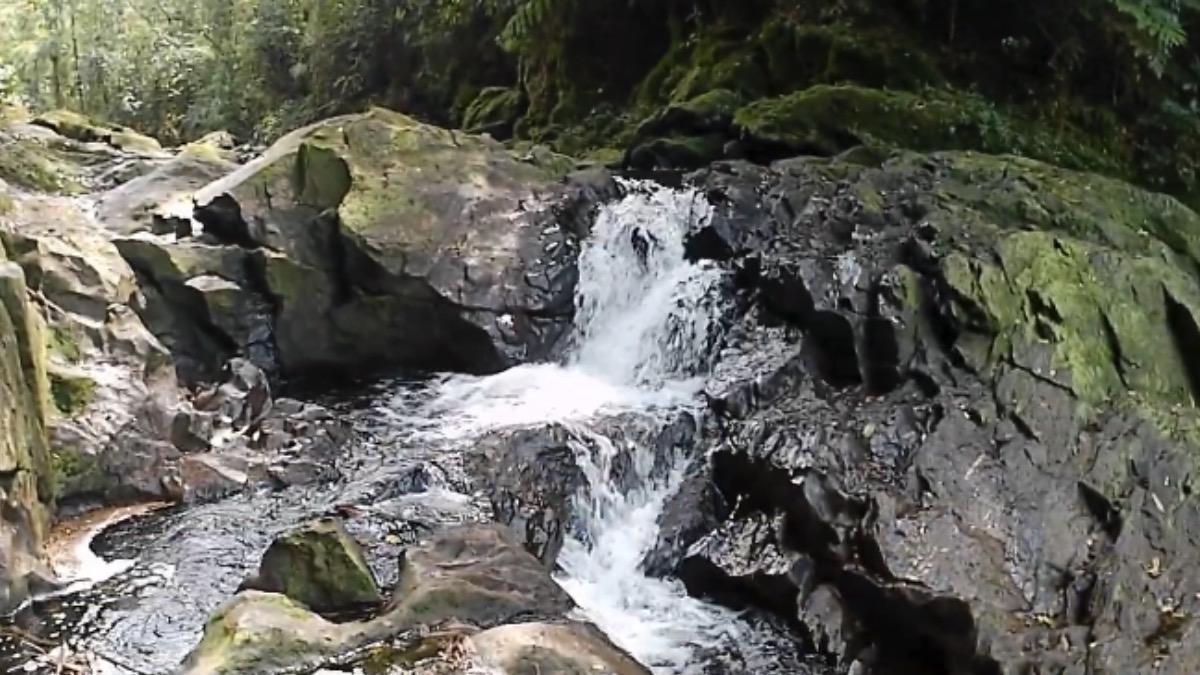 Cachoeira do Sagui