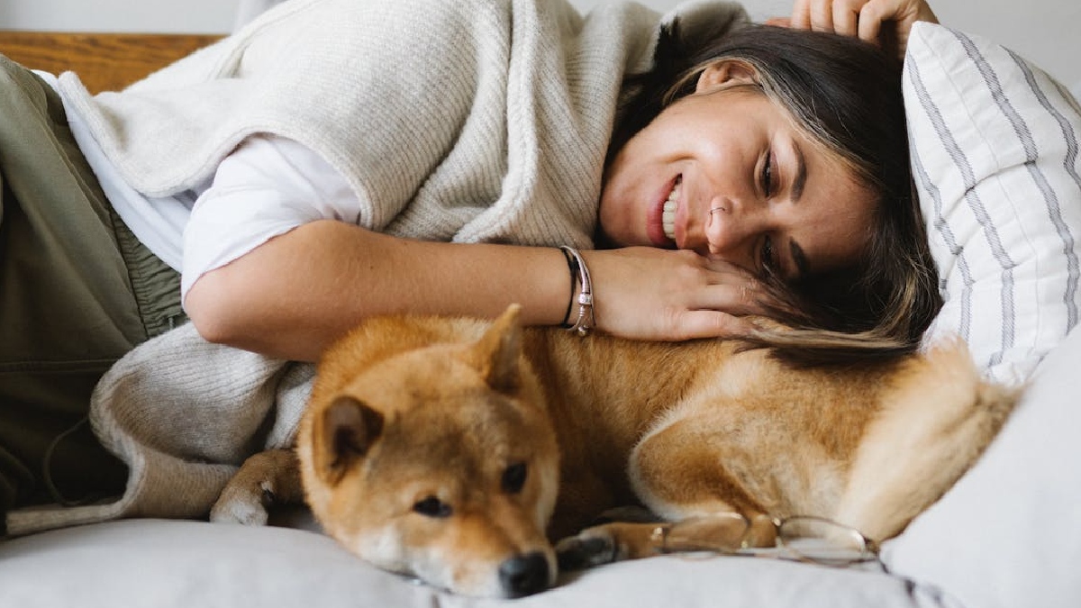 O ciúme do cachorro se trata do medo de perder alguma coisa que ele valoriza muito, que no caso, seria a atenção, cuidado e amor do próprio dono - (Meruyert Gonullu/Pexels)