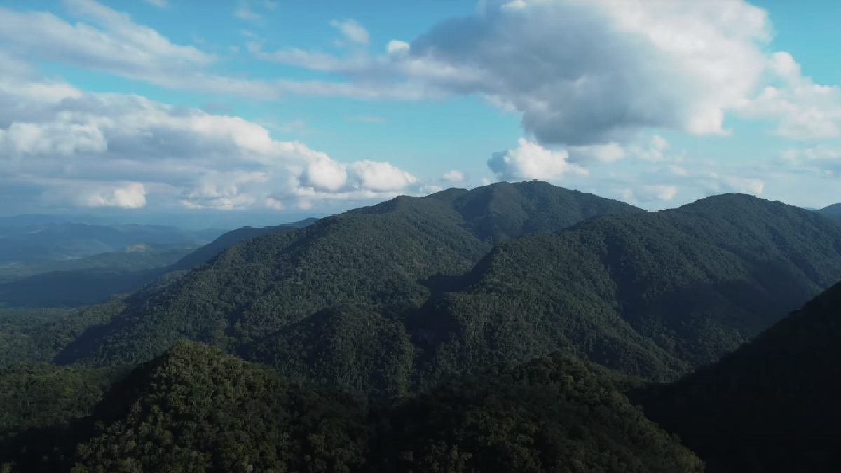 Criado em 1958, o Petar é um dos maiores refúgios ecológicos do Brasil. O parque possui mais de 350 cavernas, trilhas exuberantes e cachoeiras cristalinas.