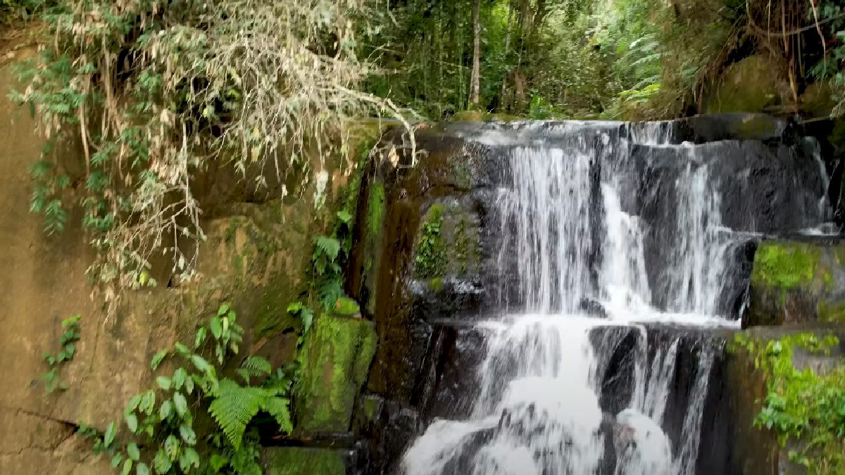 As cavernas são o grande destaque do parque, com formações impressionantes e rios subterrâneos. Doze delas estão abertas à visitação, oferecendo experiências inesquecíveis.