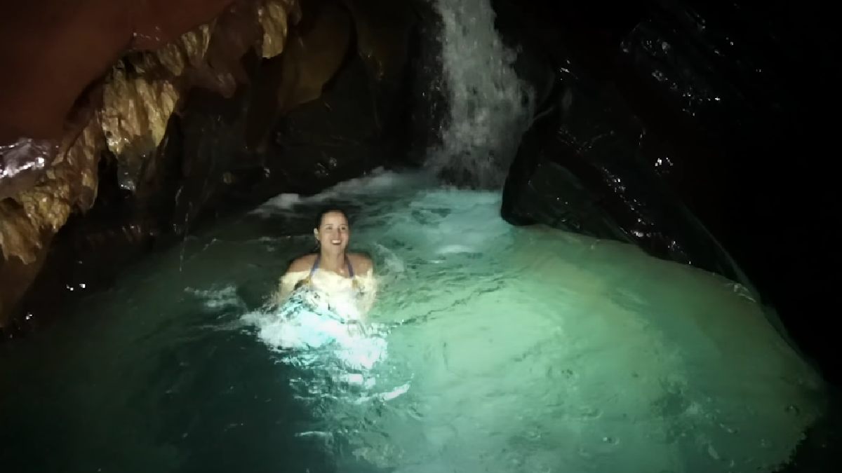 Além das cavernas, o Petar abriga uma rica biodiversidade. Durante os passeios, você pode encontrar antas, pacas e até os raros muriquis, os maiores primatas das Américas.