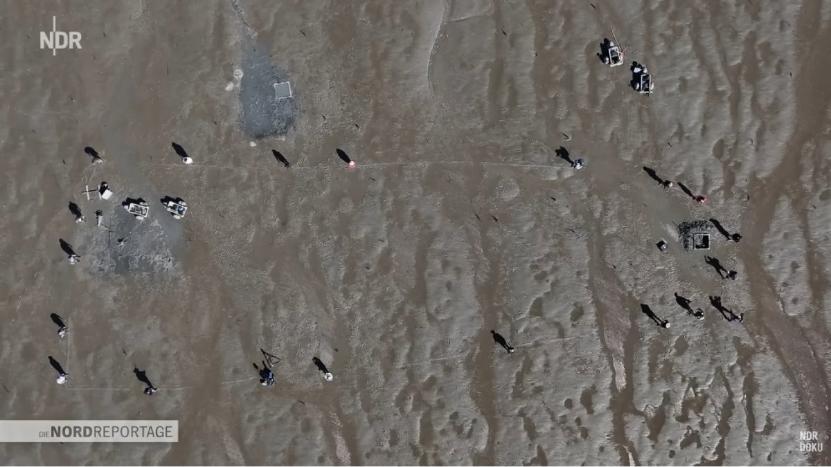 Assim, Rungholt ressurge após a tempestade de 1362, oferecendo pistas sobre a vida costeira e os desafios climáticos do século 14 (Fotos: Reprodução/Youtube)