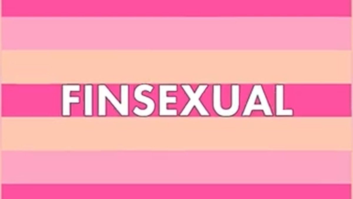 A bandeira finsexual utiliza tons de rosa e lilás para representar a feminilidade e a diversidade de expressão de gênero (Foto: Reprodução/Youtube)