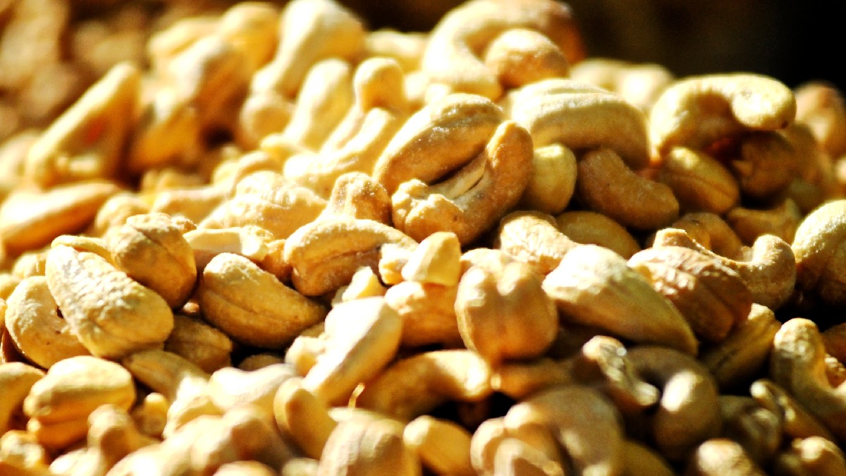 Castanha do caju é cada vez mais reconhecida pelas suas qualidades nutricionais. Imagem: Silvio Tanaka/Wikimedia Commons