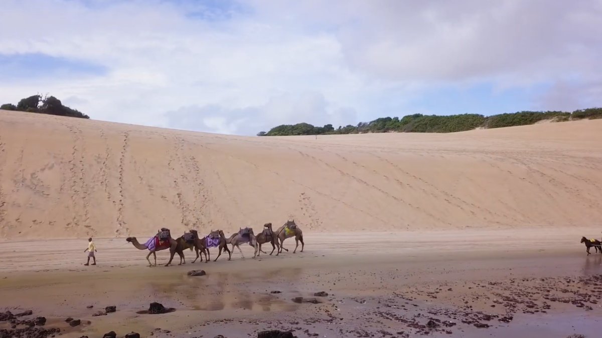 Dunas de Genipabu: Areia móvel e lagoas que formam um visual típico de um mundo de ficção científica (Fotos: Reprodução/Youtube)