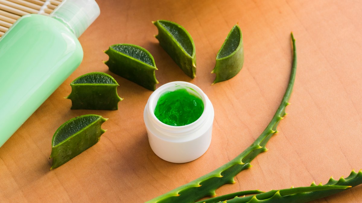 A babosa, ou aloe vera, é uma aliada natural no cuidado facial, ajudando a hidratar, regenerar e combater o envelhecimento da pele