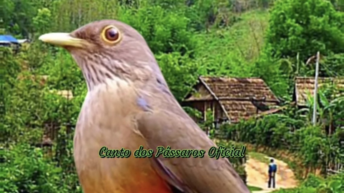 Foto: reprodução/Instagram