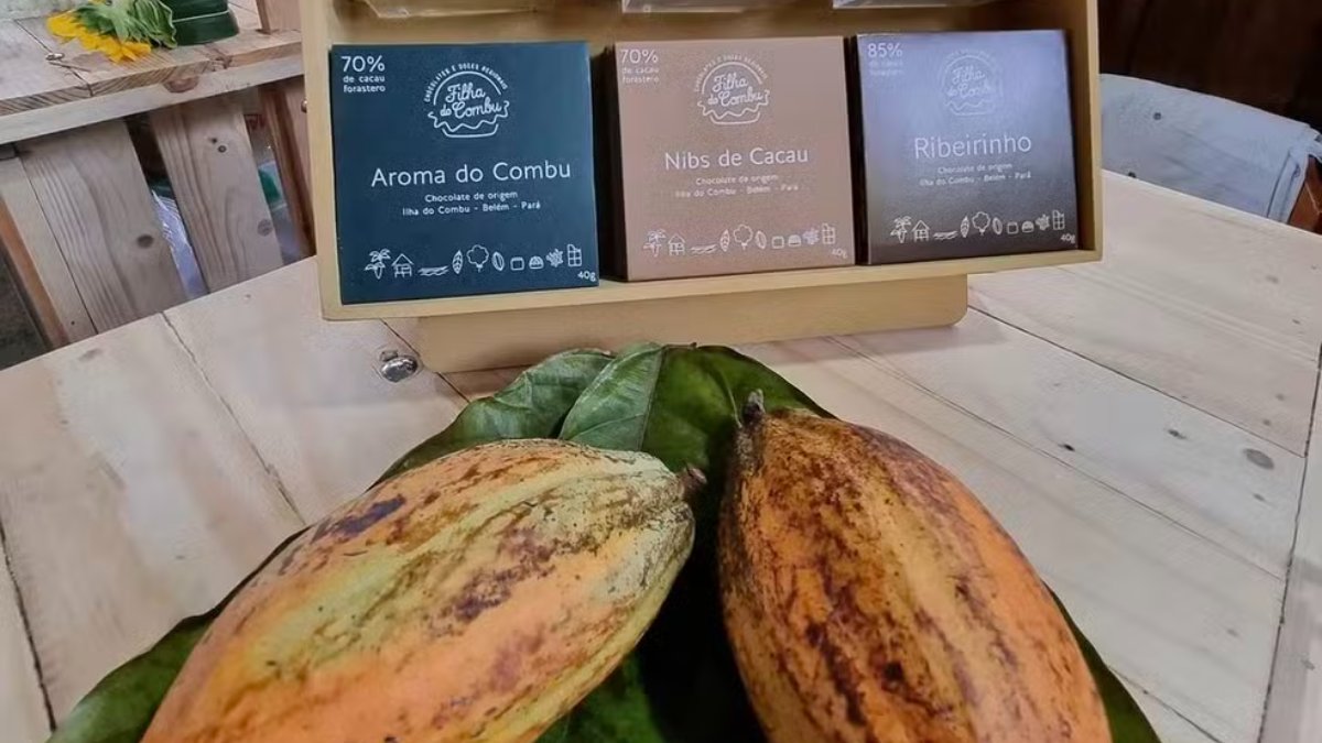 A casa de dona Nena reúne sabores amazônicos que conquistam visitantes do Brasil inteiro (Foto: Divulgação/Filha do Combu)
