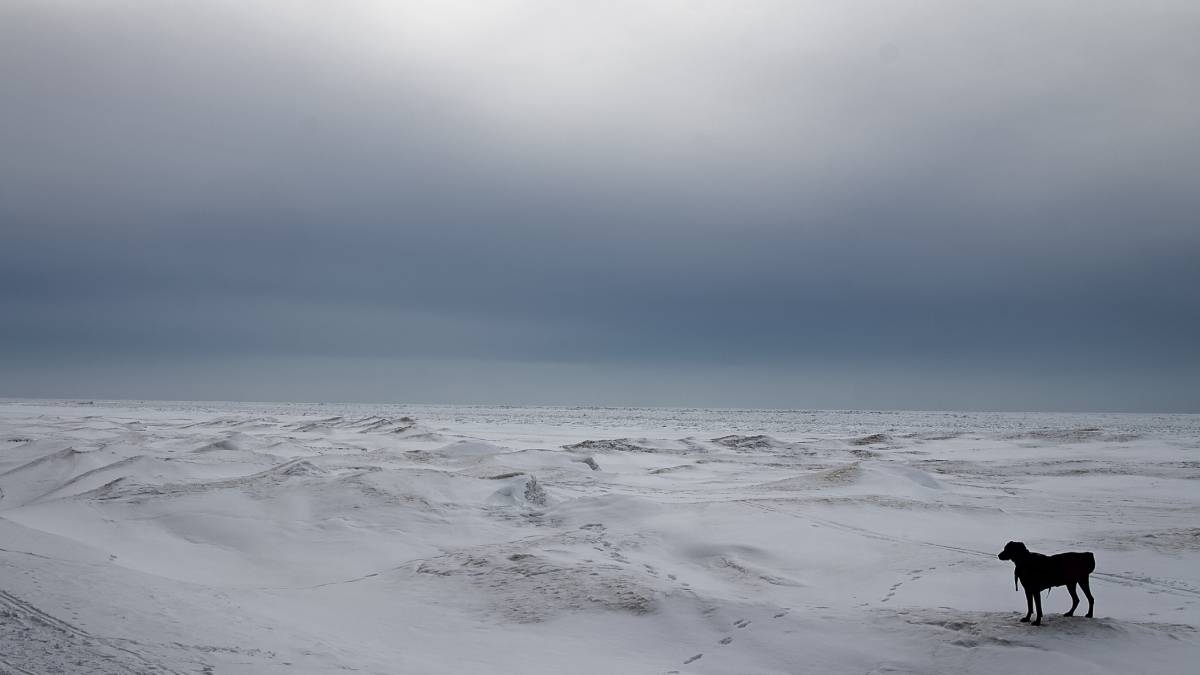 Também é considerada um deserto polar, já que quase não recebe precipitações. Fotos: Freepik