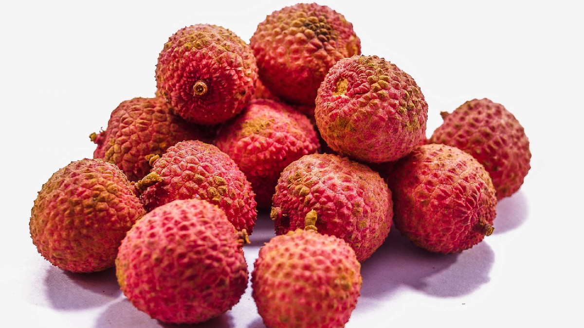 Fruta é bastante aquosa e rica em vitamina C. Imagem: Domínio público