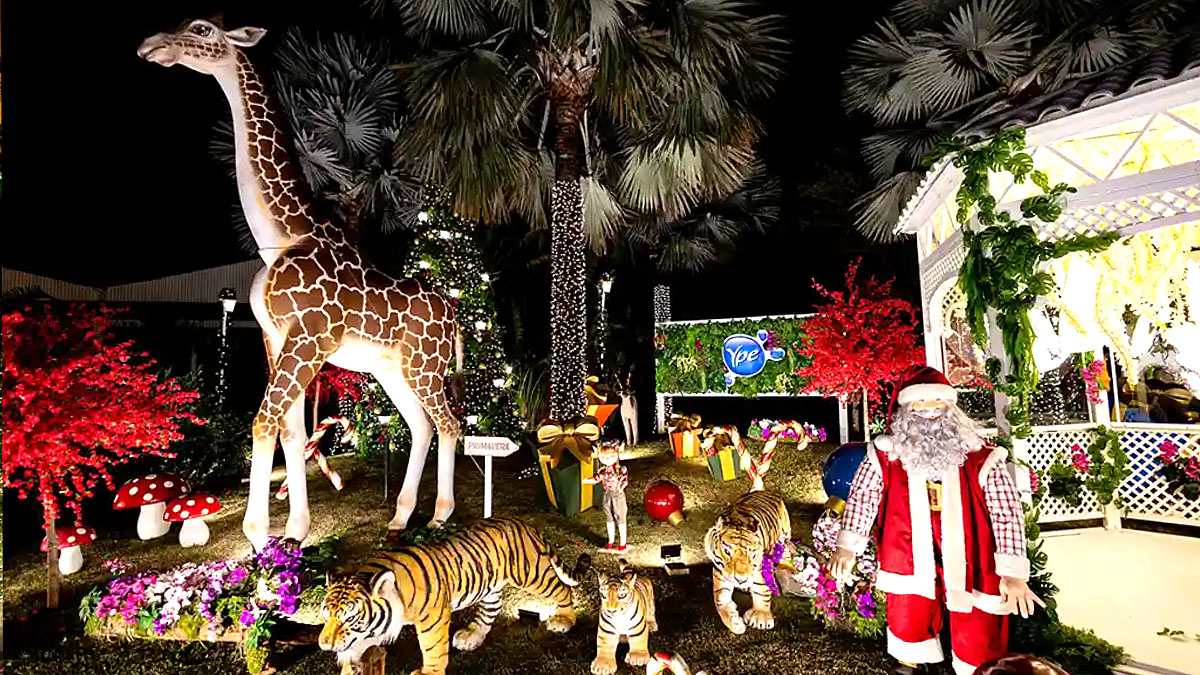 Evento segue até a véspera de Natal deste ano /Divulgação