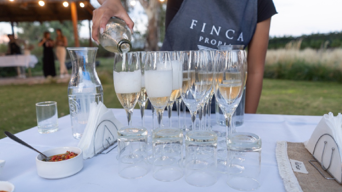Proposta é diferente de uma visita turística tradicional ou de clubes de assinatura de vinhos.
