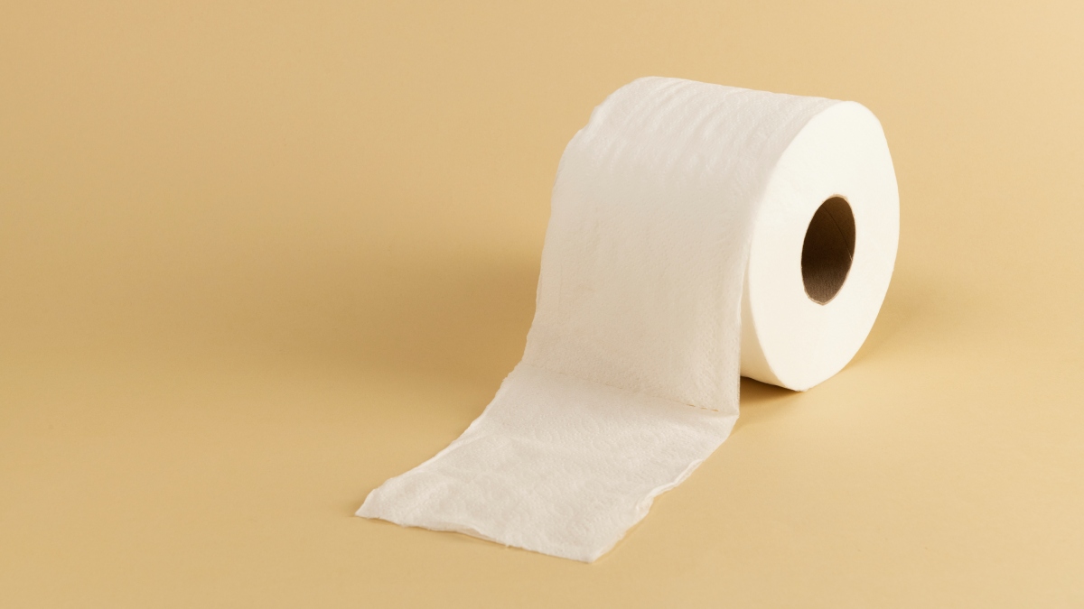 Além da saúde, há a dimensão ambiental, que costuma passar despercebida. Para manter o consumo mundial de papel higiênico, milhões de árvores são cortadas todos os anos.