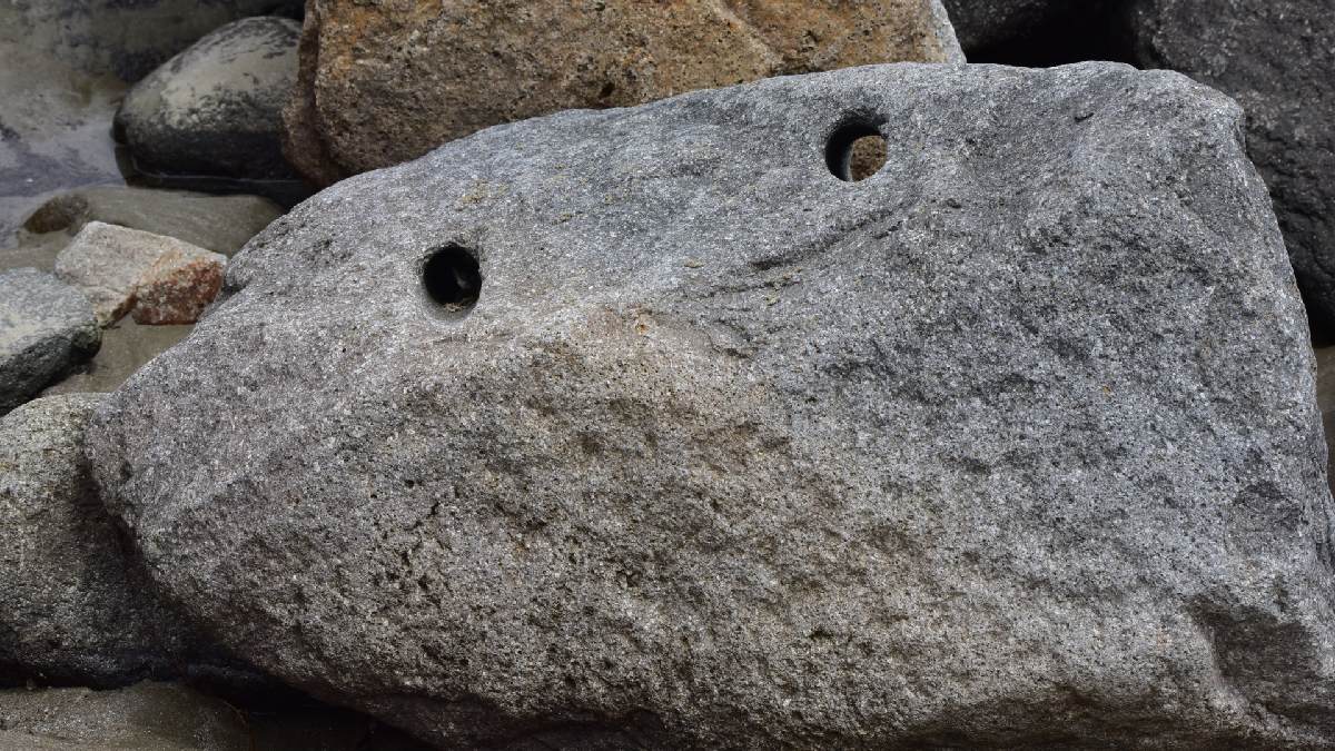 O queu achou dessa pedinha sorridente? Imagem: Domínio público