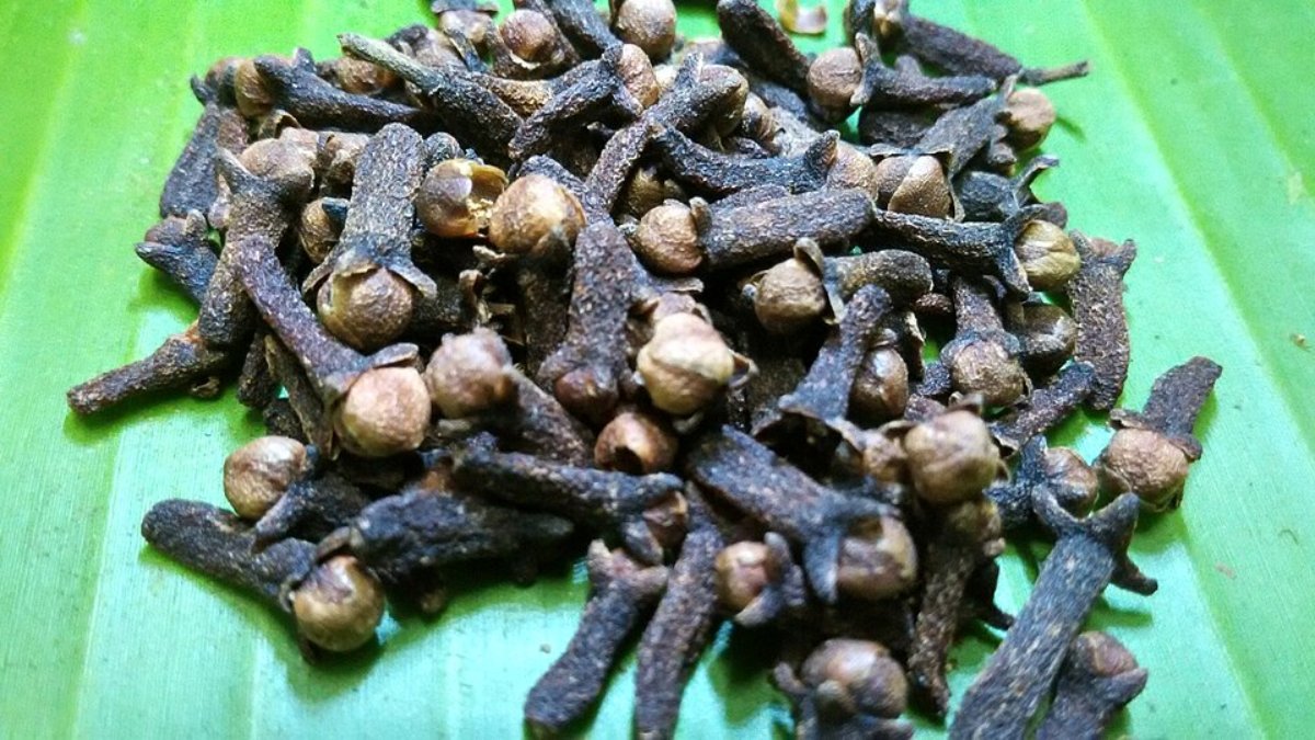Embora esses resultados ainda venham de testes em laboratório, eles mostram o potencial do cravo para integrar uma rotina de cuidados com a saúde (Foto: Thamizhpparithi Maari/Wikimedia Commons)