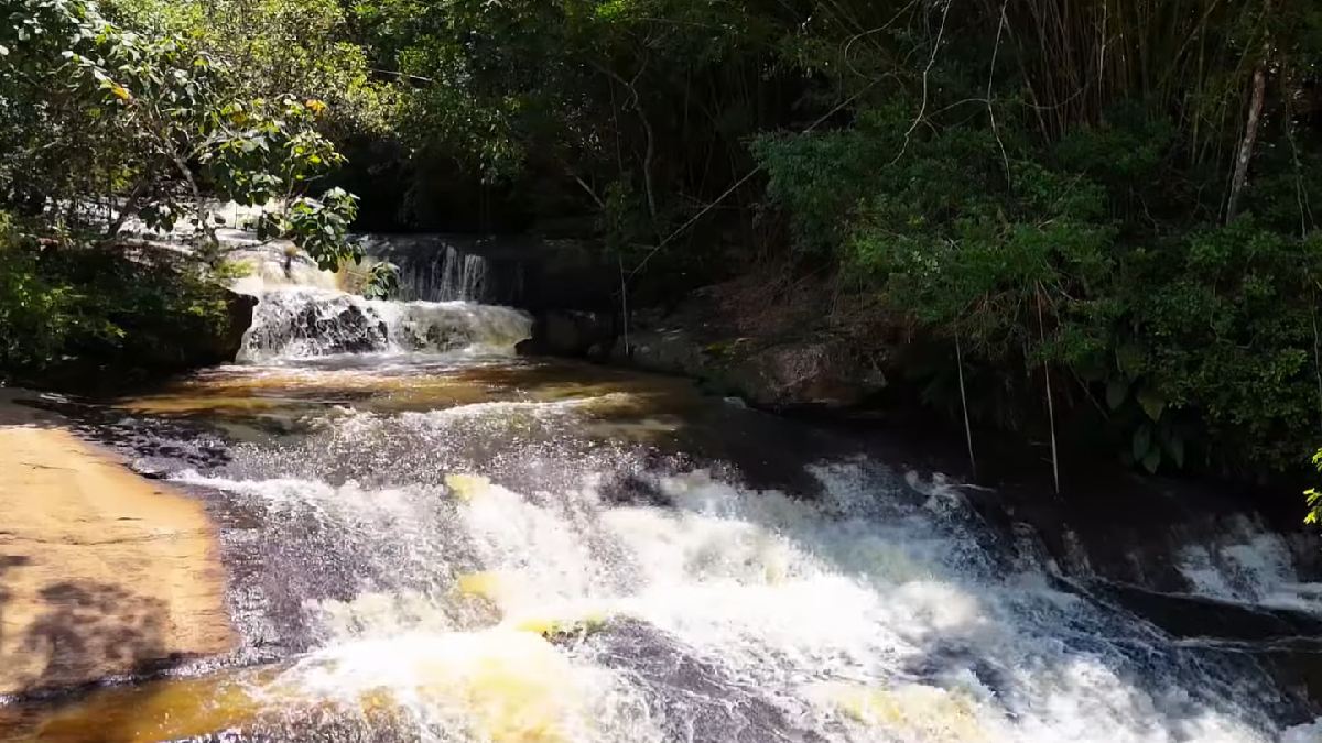 O espaço está incluído em um remanescente florestal | Reprodução YouTube | Fabiano Drone