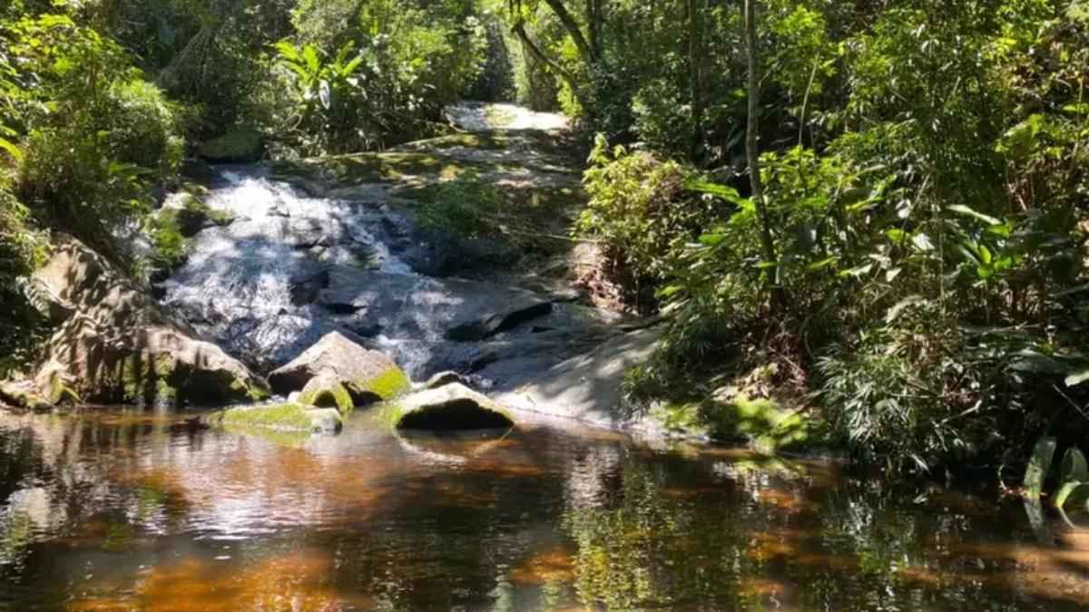 O Núcleo Engordador, na zona norte de São Paulo, faz parte do Parque Estadual da Cantareira e reúne mata atlântica preservada, trilhas e cachoeiras em plena capital (Foto: Sec. de Meio Ambiente/Reprodução)