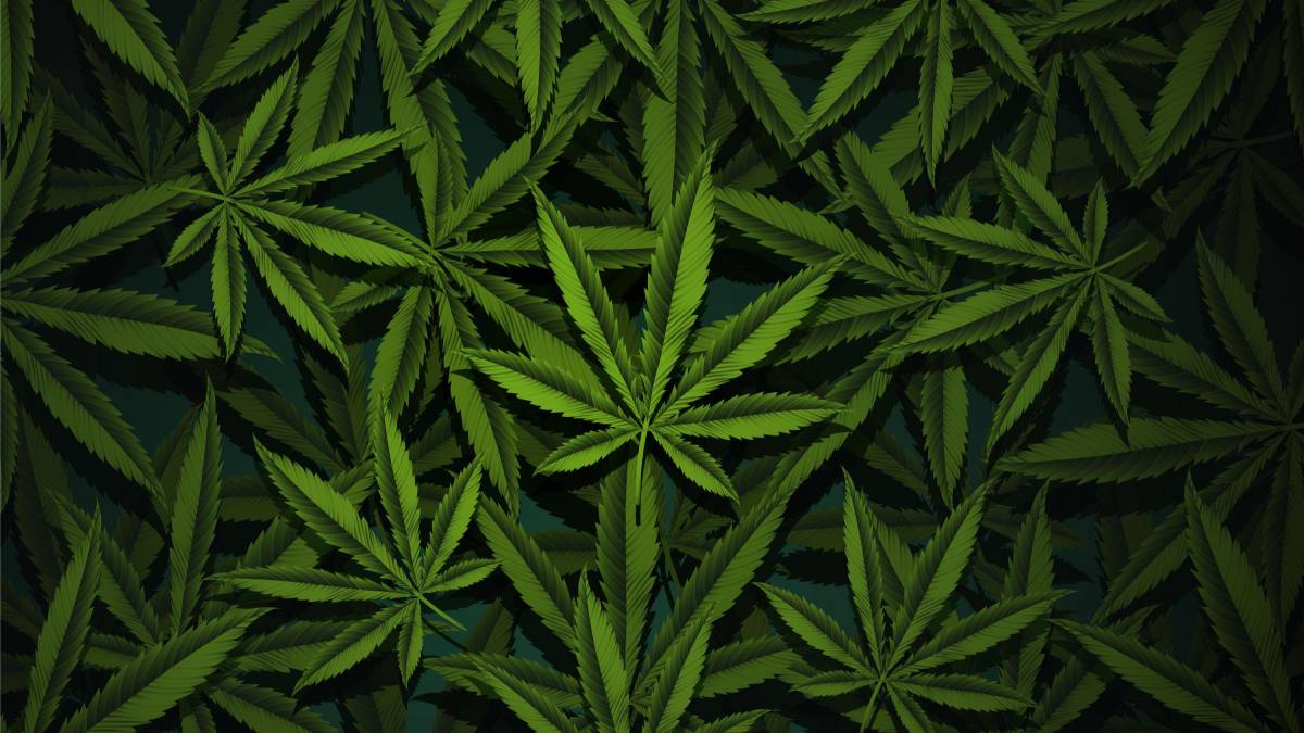 Pioneirismo social. Em 2013, a nação fez história como o primeiro país do mundo a legalizar a maconha sob controle estatal, em uma medida amplamente debatida. Foto: Freepik