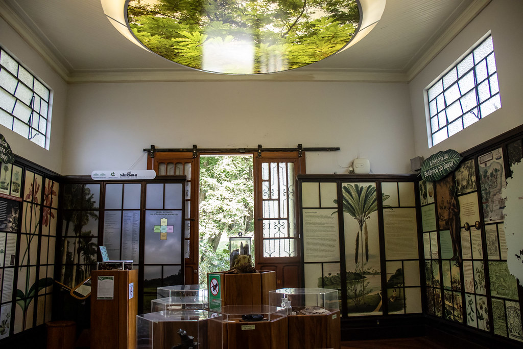 Museu por dentro /Créditos: Jardim Botânico de São Paulo