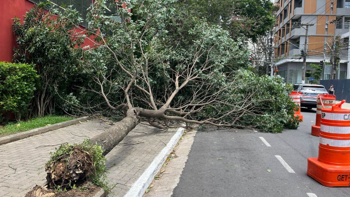 Farmácia fica na esquina da Sabiá com a rua Gaivota. /Fotos: Lucas Souza/Gazeta de S.Paulo